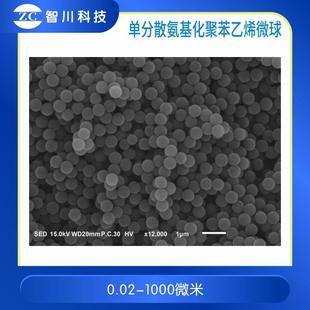 单分散氨基化聚苯乙烯微球 ps纳米/微米微球