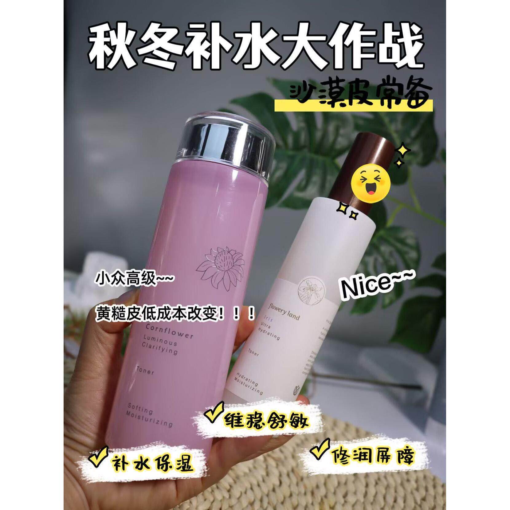 花肌粹紫松果菊大粉水+鸢尾花水乳液套装组合补水保湿不油腻护肤