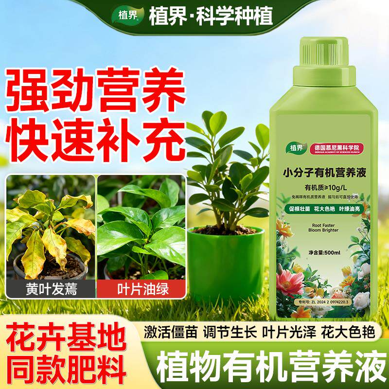 植界小分子有机营养液发财树幸福树黄金葛促进生长温和养护不伤根