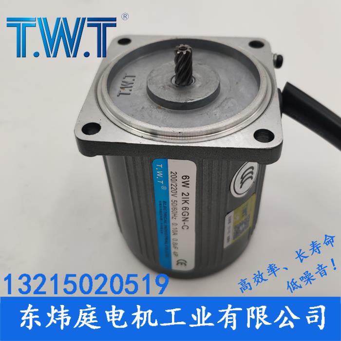 TWT电机 6W减速电机2IK6GN-C 2RK6GN-C 2IK6A-C台湾东炜庭电机