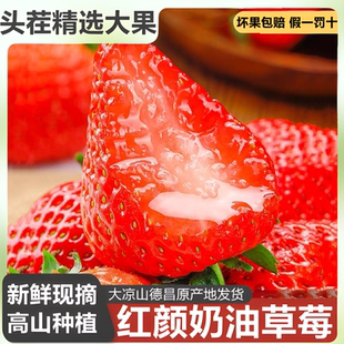 【顺丰速达】红颜99大草莓3斤净重水果
