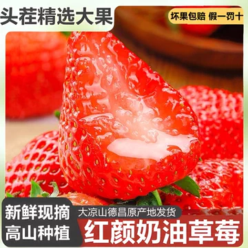 【百团验货】现货99红颜大草莓3斤净重水果