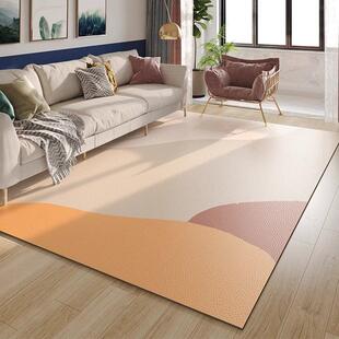 高级感客厅地毯轻奢免洗可擦懒人沙发茶几毯卧室床边毯免打理地垫