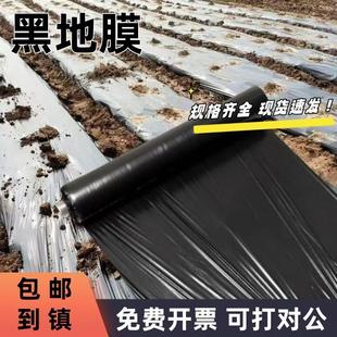 除草黑色地膜农用种植果园蔬菜防长草种菜黑地膜果树塑料薄膜加厚