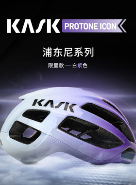 意大利KASK PROTONE ICON浦东尼2025限定白紫公路自行车骑行头盔
