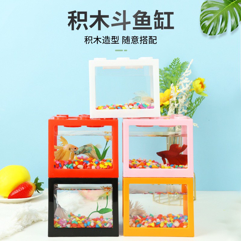 网红摆摊泰国斗鱼积木鱼缸迷你小型办公室桌面造景创意观赏金鱼缸