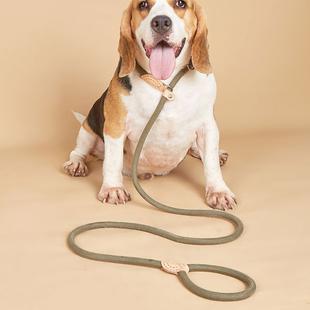 边境牧羊犬专用狗狗绳子防爆冲P链遛狗牵引绳防挣脱狗链子中大型