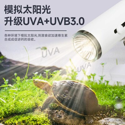乌龟晒背灯全光谱uva取暖uvb加热保温加热灯恒温爬宠照背晒龟灯