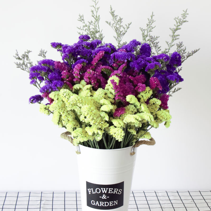 勿忘我干花花束满天星云南天然风干真花家居摆设客厅超大装饰混搭