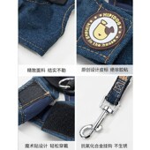 狗狗牵引绳背心式 遛狗绳溜狗链子小型中型犬泰迪博美网红宠物用品