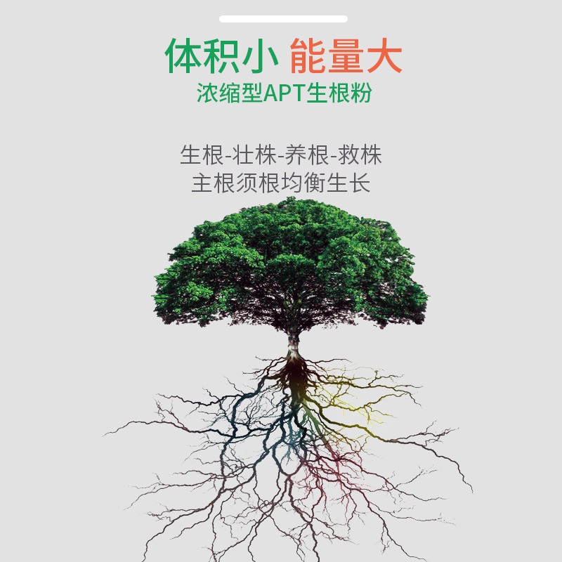 APT快速生根粉 植物通用花草苗木花卉发根月季扦插果树移栽生根剂