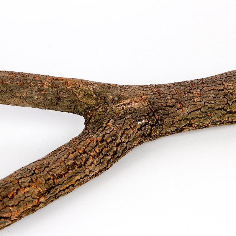 鸟磨爪棒鹦鹉鸟用品鸟笼 鹦鹉磨牙棒鸟窝磨爪树杈棒站杠磨砂站杠,宠物/宠物食品及用品,鸟禽其他,淘宝优惠券,粉丝福利购,淘宝优惠卷