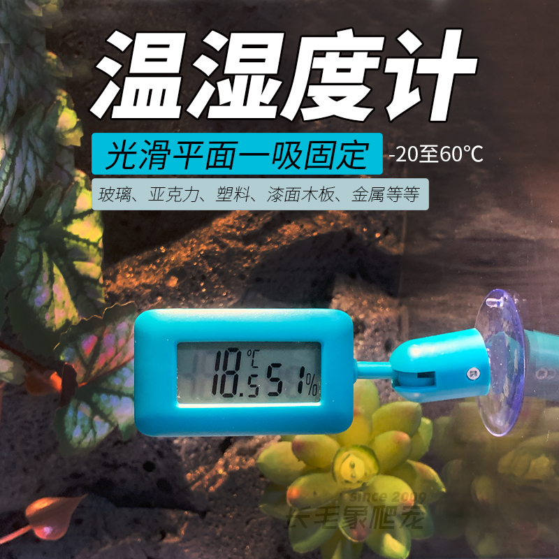爬宠饲养箱吸盘温湿度计豹纹守宫睫角守宫爬虫箱鬃狮箱吸盘温湿度