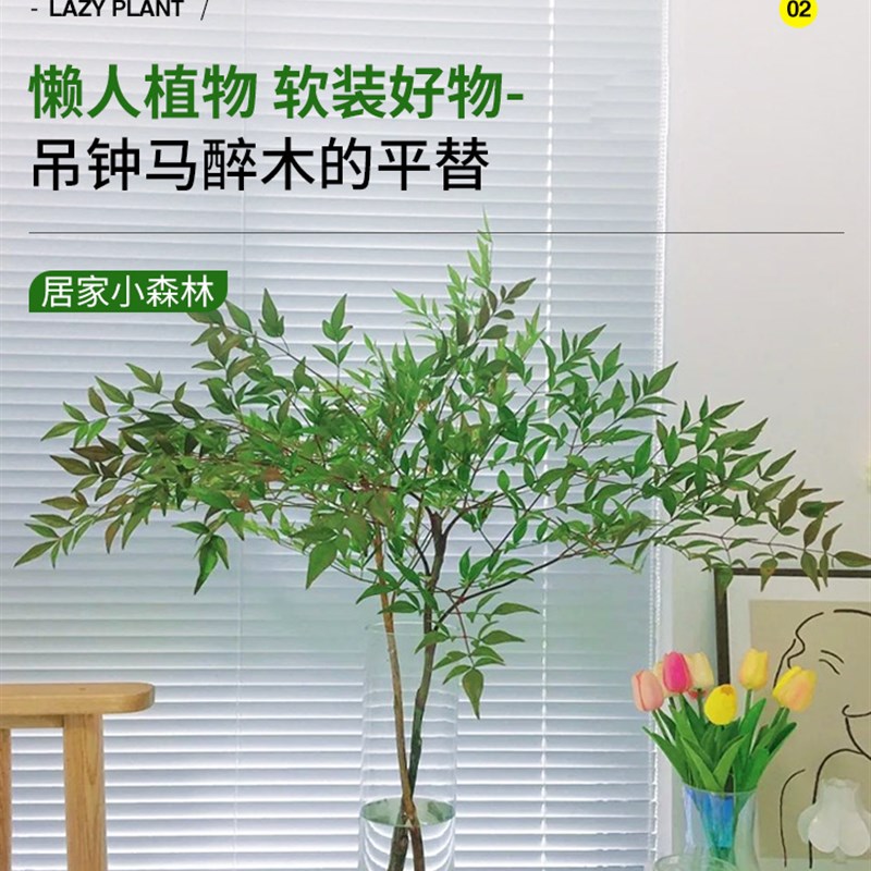 南天竹水培绿植火焰红水养盆栽室内花卉鲜切枝吊钟马醉木平替植物