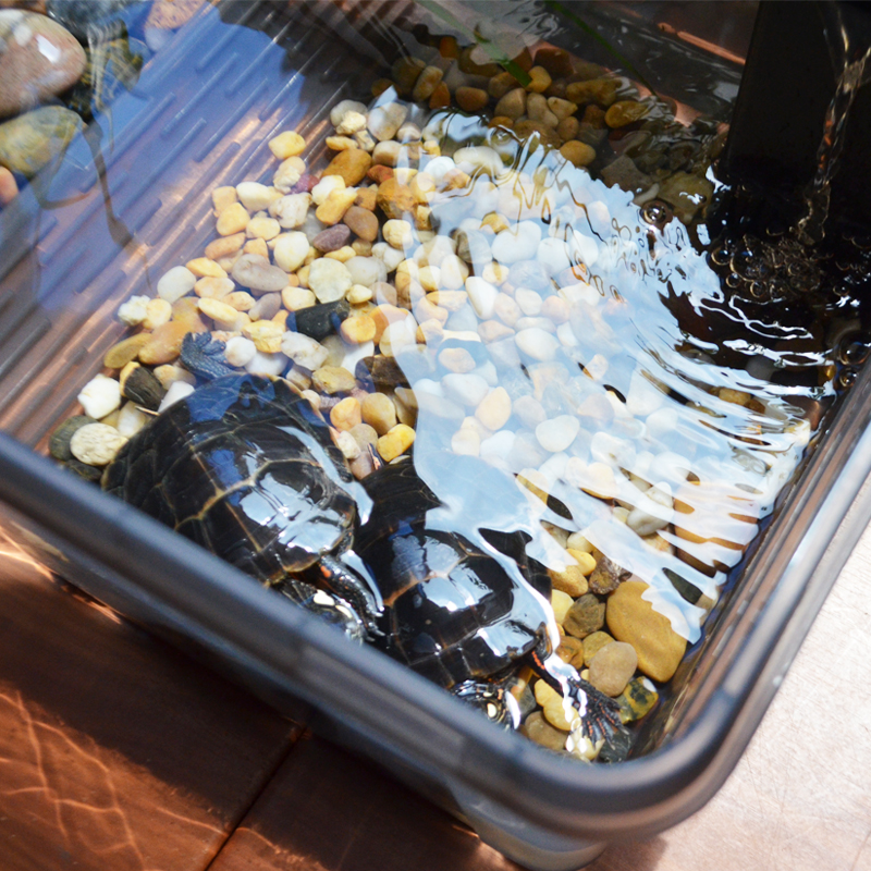 乌龟缸带晒台别墅小中型乌龟饲养缸草龟鳄龟养龟的专用缸