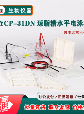 琼脂糖水平电泳仪DYCP-31DN电泳槽核酸凝胶实验配件制胶盒电极架