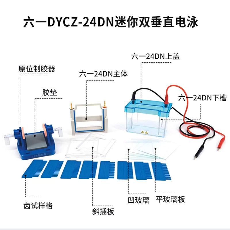 DYCZ-24DN迷你型双垂直电泳槽蛋白凝胶电泳仪【北京六一生物】