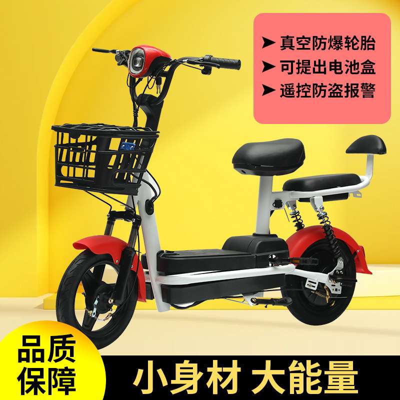 外贸跨境东南亚两轮电瓶车双人电动自行车通勤代步车锂电车