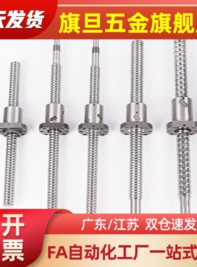BTK/JPF/BNT1006 1208 1404 1405 1605 2005 2805V 滚珠丝杆丝杠