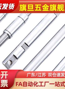 SGJ06-D12-平替实心导向轴L55-E20-M10-N8-S5