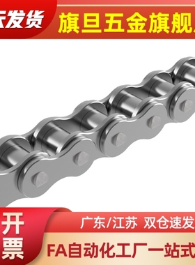 CHES50-U  CHES50-48/66/88链条 50B