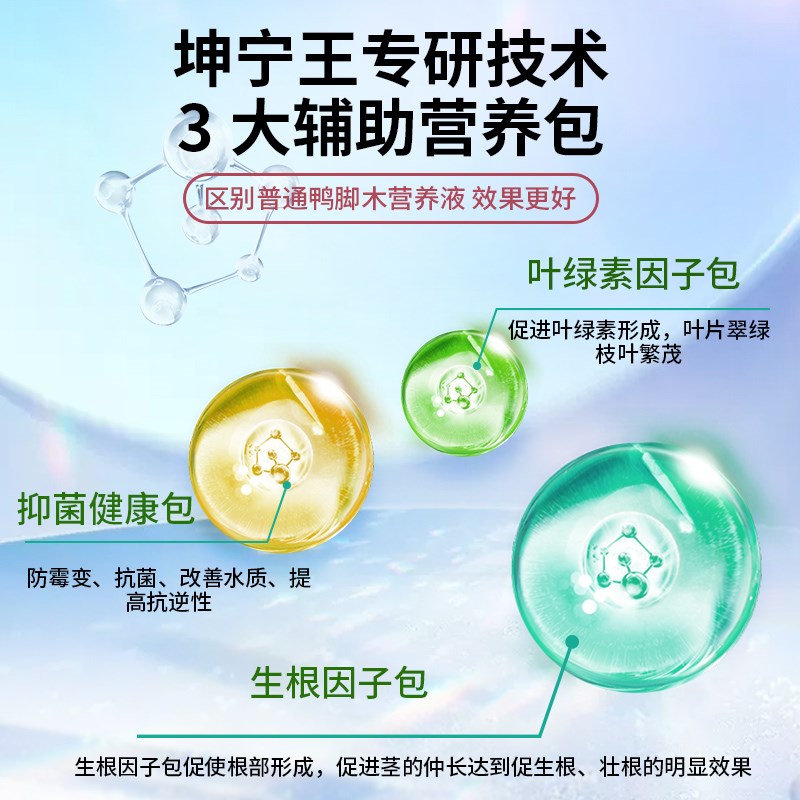 鸭脚木专用肥料营养液鹅掌木鸭掌柴室内外绿植盆栽家庭专用营养液
