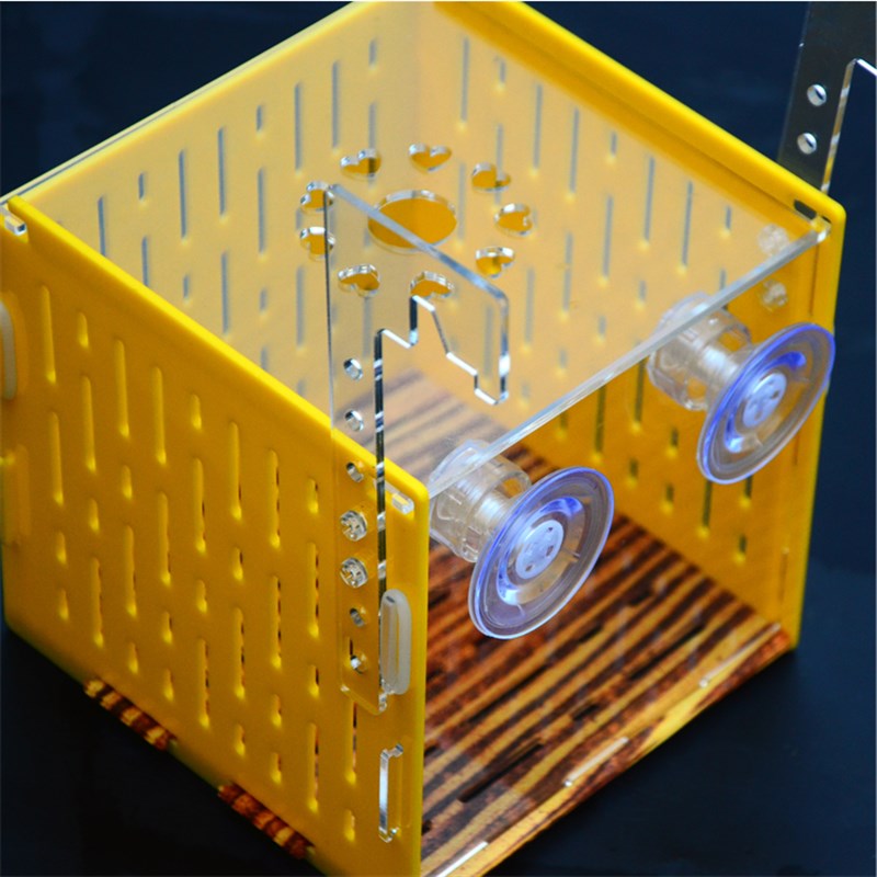 亚克力窄桥木纹隔离盒乌龟盒子剃刀带支架黄色木纹蛋龟发色盒