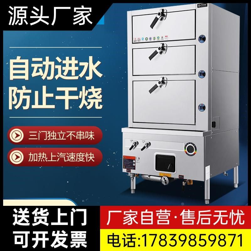 宇王海鲜蒸柜g商用三门全自动分成电蒸箱多层大型燃气蒸炉厨房厂