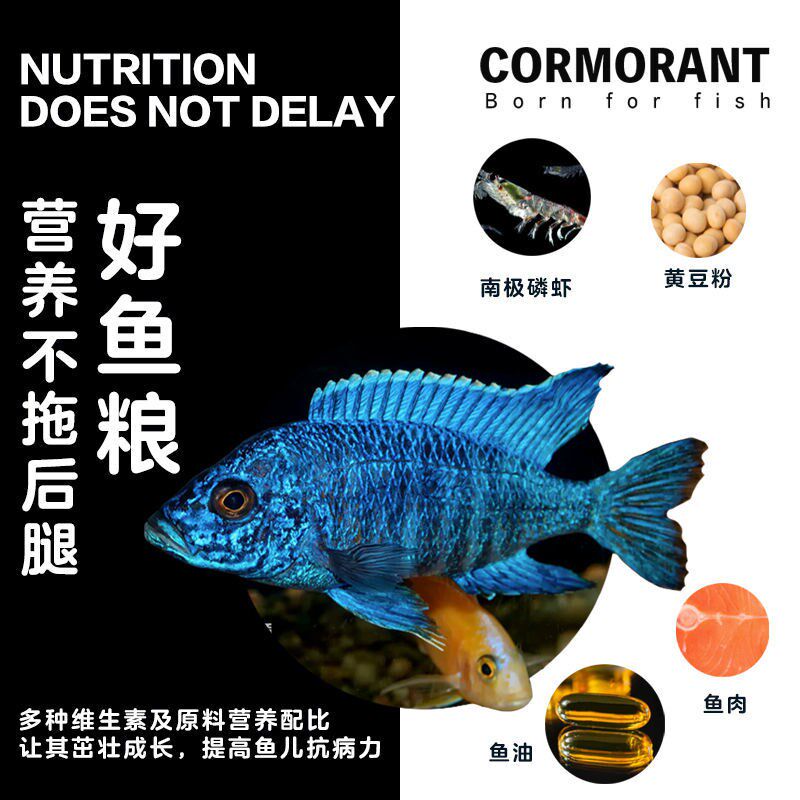 金如池三湖慈鲷鱼食热带鱼大蒜精华增色缓沉饲料南美鲷鱼粮短鲷食
