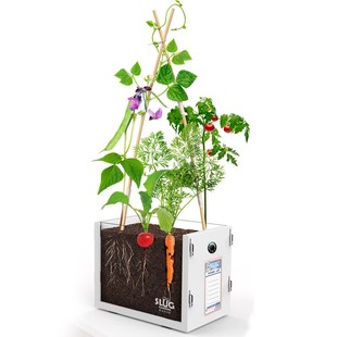 鼻涕虫花园植物根系观察窗diy拼接儿童种植小盆栽小学生手工作业