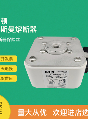 全新快速熔断器保险170M6426 170M6435 170M6452 170M6458