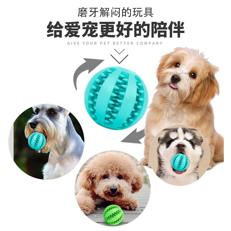 狗狗玩具球金毛耐咬磨牙漏食薄荷味西瓜球泰迪洁齿爱玩弹力橡胶球,宠物/宠物食品及用品,橡胶球/球形玩具,淘宝优惠券,粉丝福利购,淘宝优惠卷