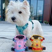 狗狗牵引绳胸背带遛狗遛猫小狗外出神器防挣脱背心式 宠物背带比熊