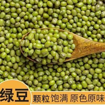 东北新绿豆100g-5斤颗粒饱满煲汤绿豆沙甜品发豆芽绿豆子容易出沙