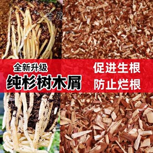 全新30升升级兰花专用土 纯杉树木屑 促进生根 防止烂根