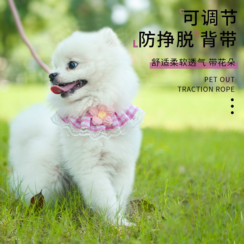 狗狗猫咪牵引绳遛狗背心小型犬链子外出背带幼犬挣脱调节宠物用品