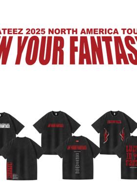 2025 水洗做旧ATEEZ专辑独立站 应援组合周边印花夏季短袖