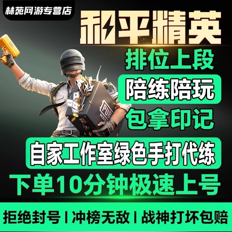 和平精英吃鸡代练打战神陪玩排位上分KD卓越传奇绝世晋级赛印记