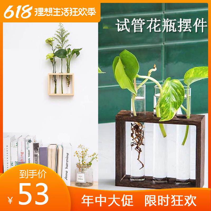 玻璃水培花瓶办公室桌面水养绿萝植物试管花瓶室内实木装饰摆件