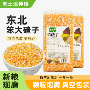 东北大碴子大粒脱皮新鲜玉米碴子农家笨大查子粗粮大碴粥苞米碴