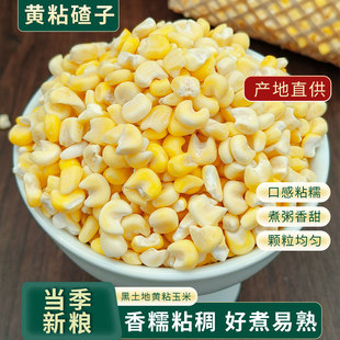 正宗东北粘糯玉米碴子大碴子粥黏玉米糁农家特产杂粮香糯伴侣煮饭