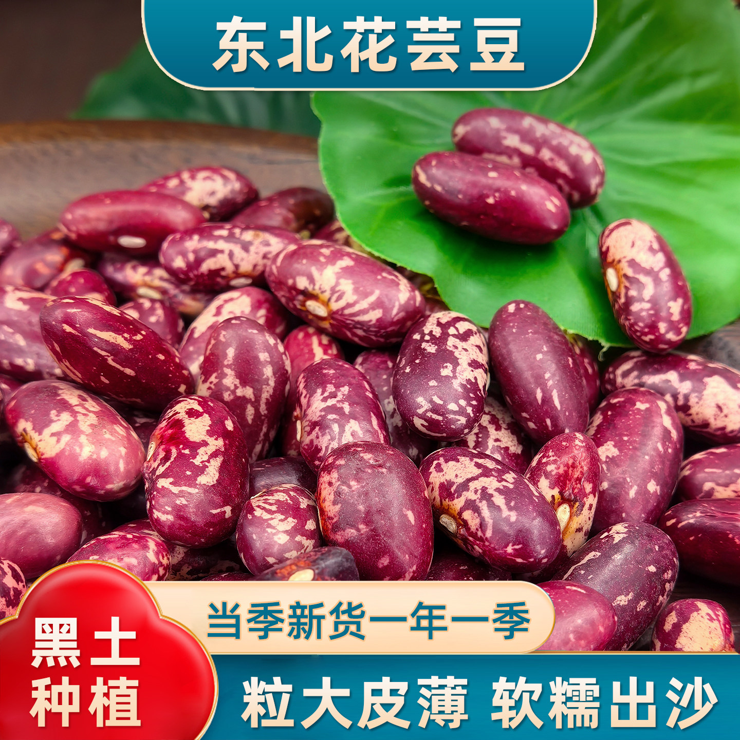 东北花芸豆新货大粒农家饭豆特产大碴粥五谷杂粮红芸豆新鲜