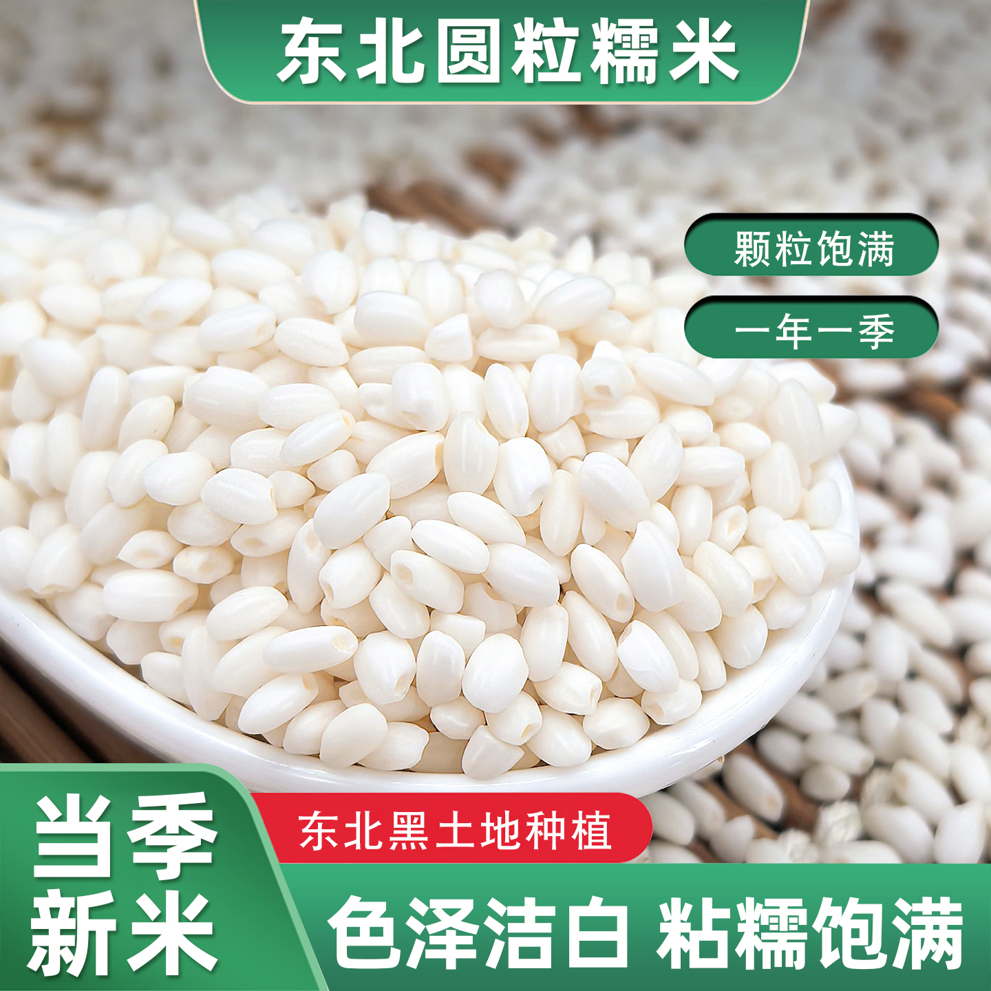 正宗东北江米圆糯米白2025年新米粘米黏农家五谷杂粮包粽子5斤