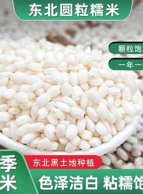 正宗东北江米圆糯米白2025年新米粘米黏农家五谷杂粮包粽子5斤