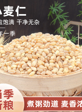 麦仁2025年新货去皮小麦仁农家食用杂粮煮粥脱皮现磨大麦仁米500g