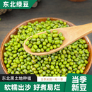 东北绿豆新货绿豆皮薄绿豆农家新鲜发豆芽夏天大绿豆粥薏仁汤精选