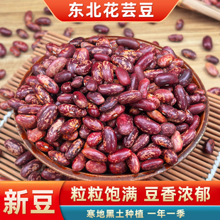 东北紫花芸豆25年新货农家熬煮大碴粥饭豆五谷杂粮特产新鲜红腰豆