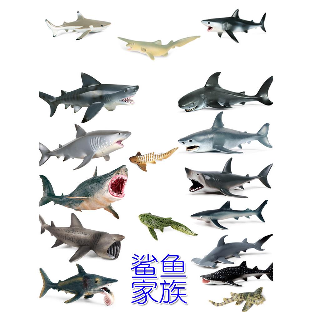 仿真鲨鱼玩具大全灰鲭鲨小青鲨噬人鲨巨口鲨鲸鲨大白鲨无沟双髻鲨