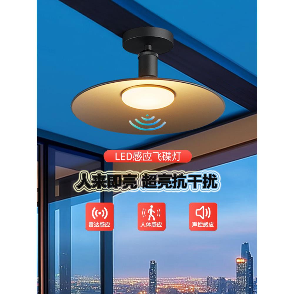 阳光房专用灯阳台吸顶灯防水庭院凉亭led感应吊灯超亮玻璃雨棚灯