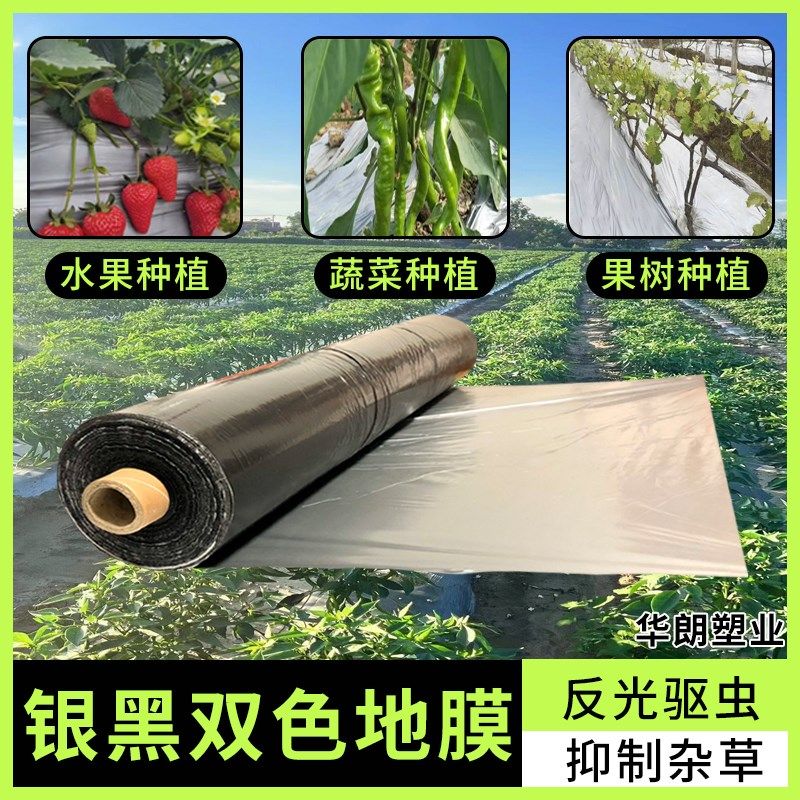 银黑色地膜加厚农用反光地膜果蔬种植地膜驱虫防草专用农用薄膜,农机/农具/农膜,农用薄膜,淘宝优惠券,粉丝福利购,淘宝优惠卷